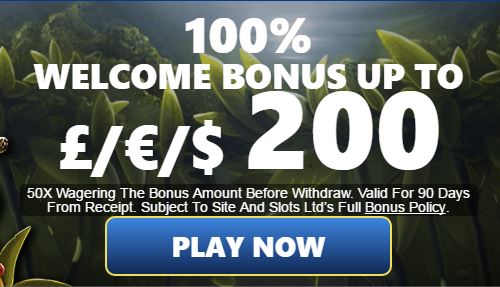 Mobile Slots Free Bonus