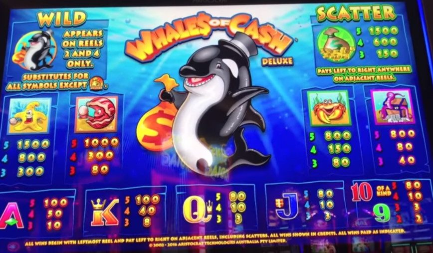 Golden Dolphin Slot