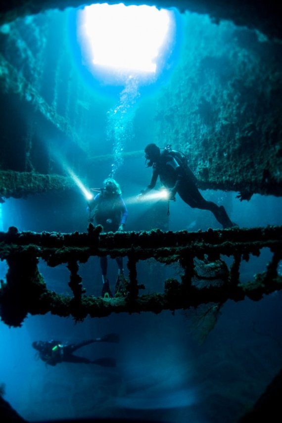 What Is Diving for Dollars